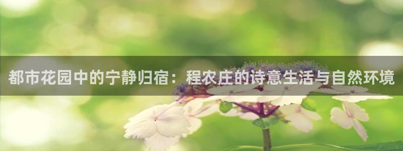 天富天辰娱乐