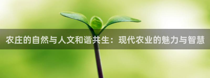 天辰娱乐新