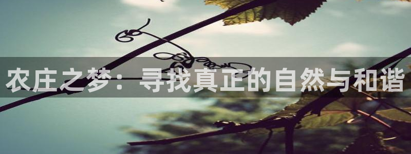 天辰娱乐新闻