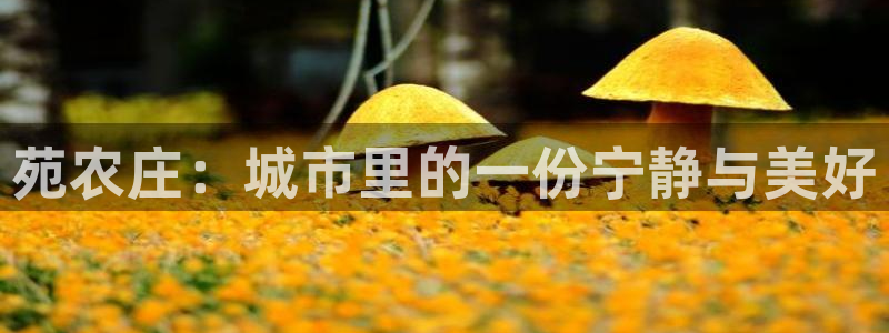 天辰 娱乐