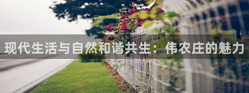 天辰娱乐路线