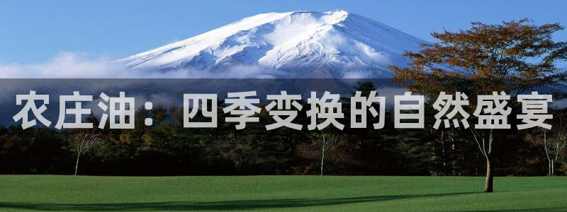 天辰娱乐说