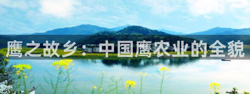 天辰娱乐电话