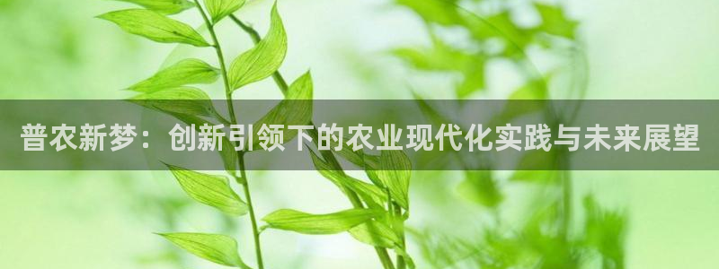 菲律宾天辰娱乐