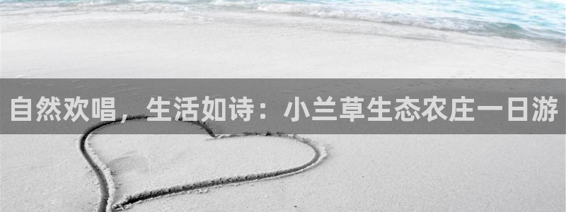 天辰娱乐60447