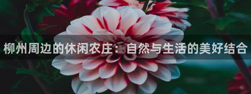 腾讯天辰娱乐