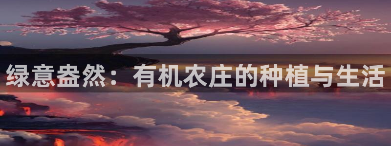 娱乐ktv天辰