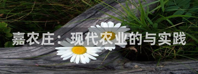 天辰娱乐传媒