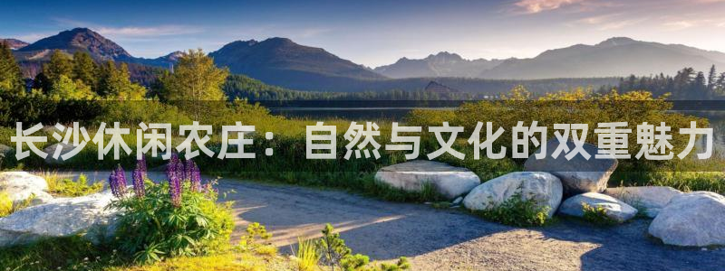 天辰娱乐总管年薪