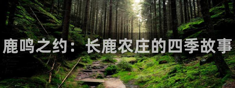 天辰娱乐传媒
