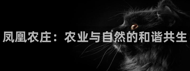 天辰娱乐棋牌