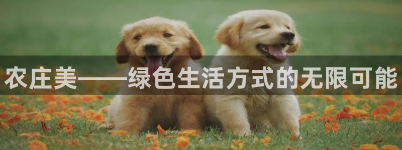 天辰娱乐75775