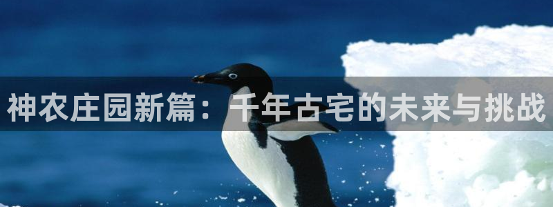 天辰娱乐平台测速