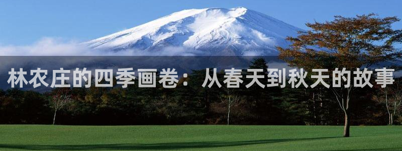 天辰娱乐集团