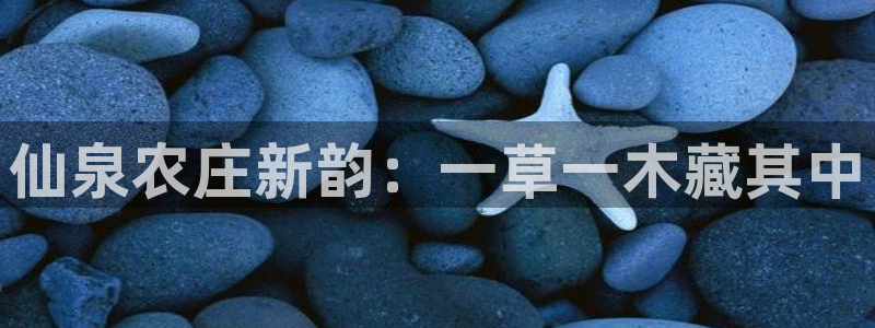 娱乐ktv天辰