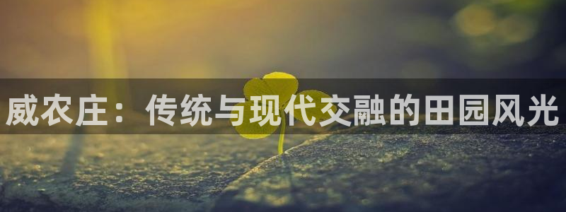 天辰娱乐指定