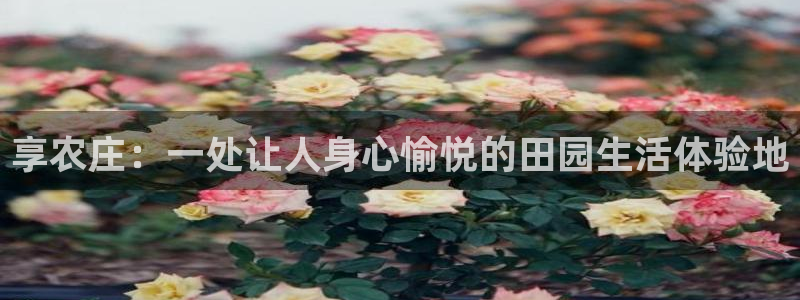 天辰娱乐2