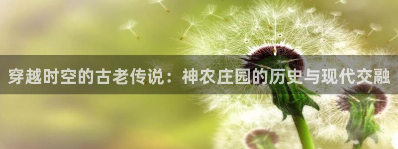 天辰娱乐1996