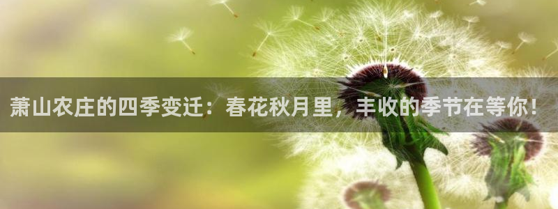 天辰娱乐 728567