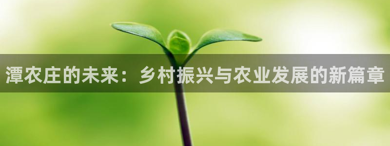 天辰娱乐ttf