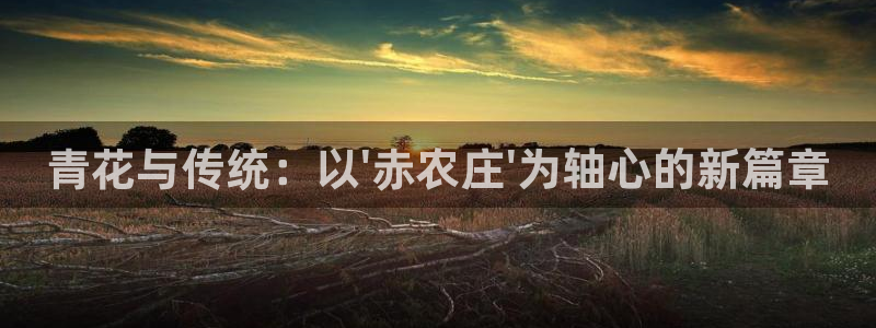 天辰娱乐675138