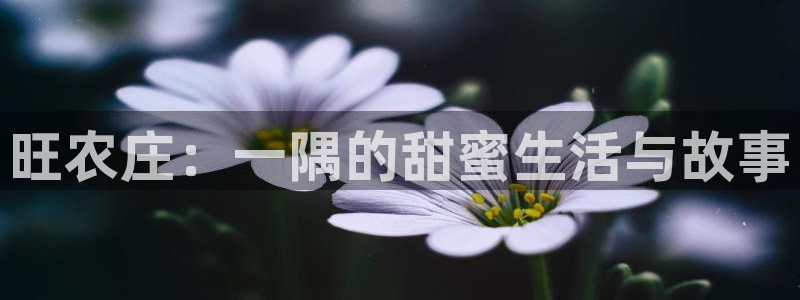 天辰娱乐_ 18113