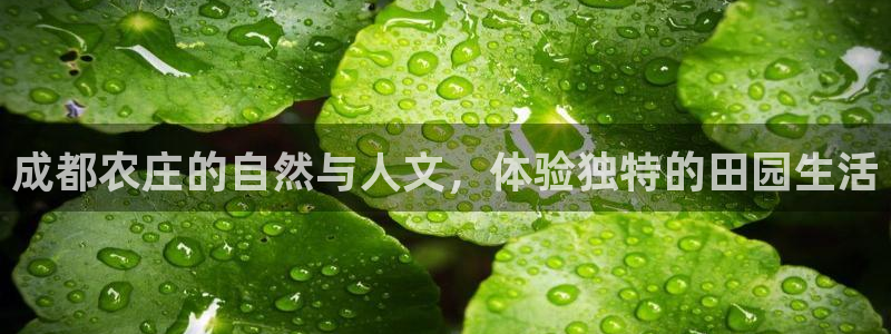 天辰娱乐集团