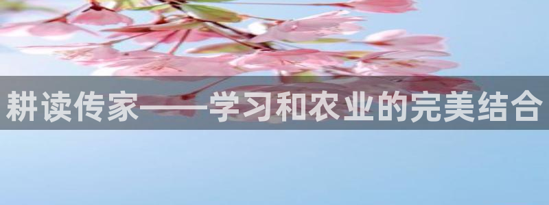 天辰娱乐代理