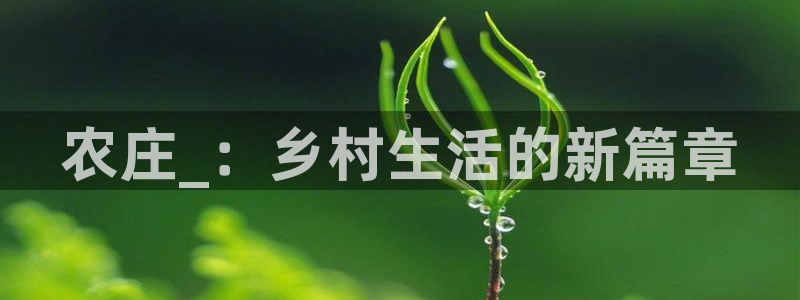 天辰娱乐下载链接