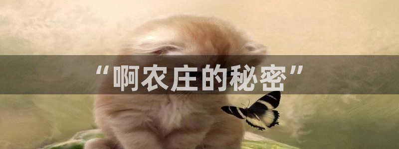 天辰娱乐51137