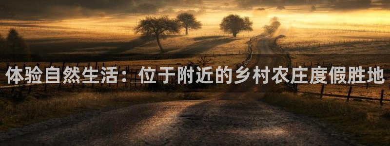 天辰娱乐股东