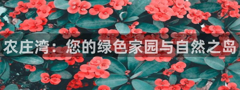 天辰娱乐怎么样