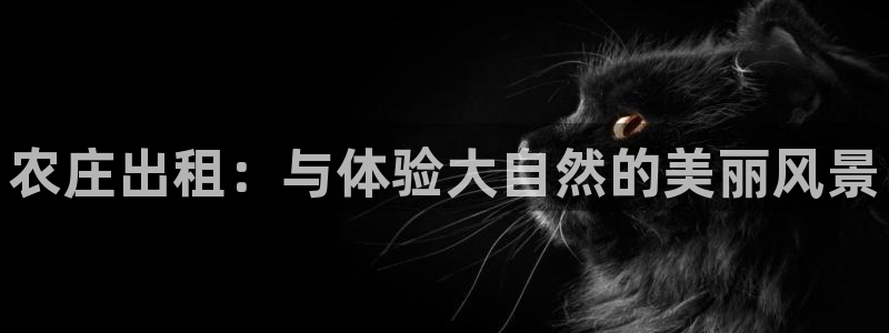 天辰娱乐台湾