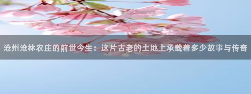 天辰娱乐所
