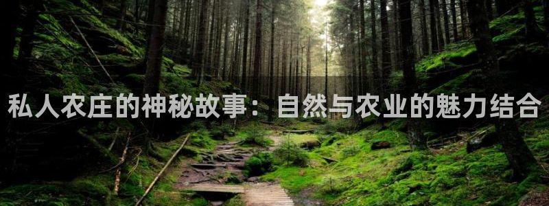 天辰娱乐官