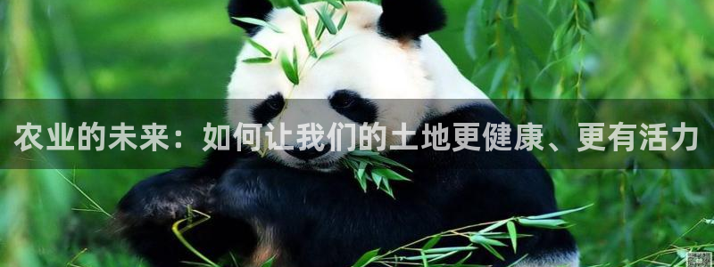 天辰娱乐总管年薪