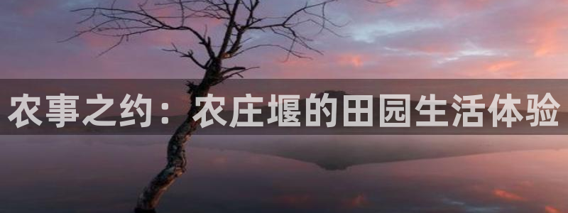 天辰娱乐天辰注册登录