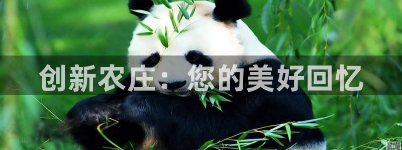 天辰娱乐登录网址