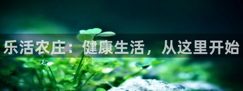 天辰团队贝高娱乐