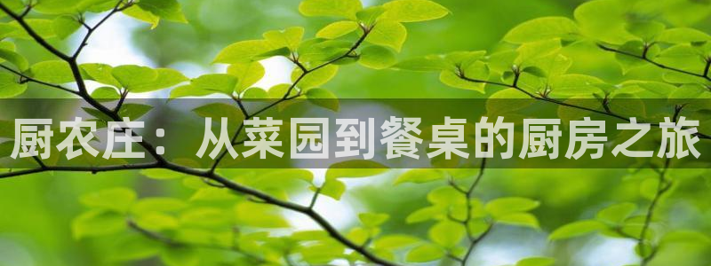 天辰娱乐官方登录下载