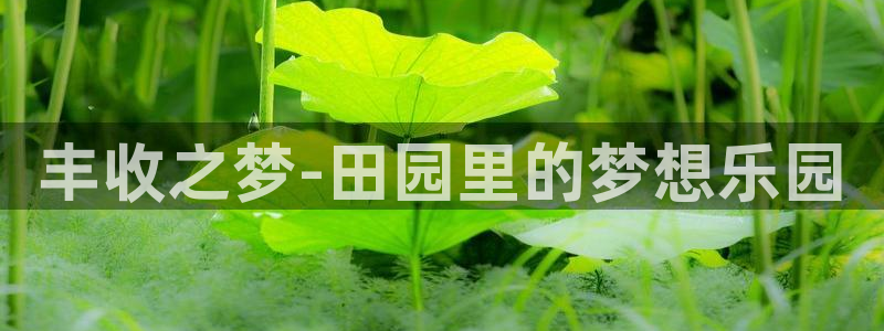 天辰团队贝高娱乐