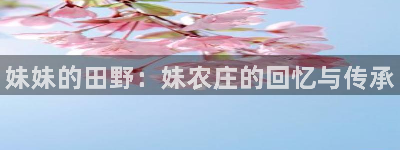 天辰娱乐怎么样