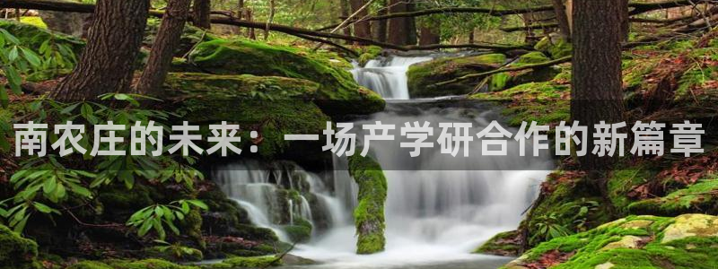 天辰娱乐总管年薪