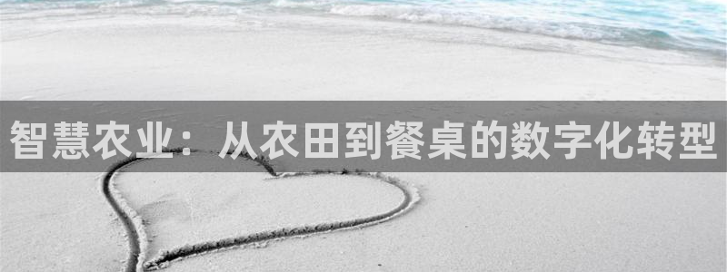 天辰辰娱乐代理