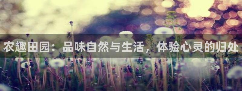 天辰娱乐娱乐注册