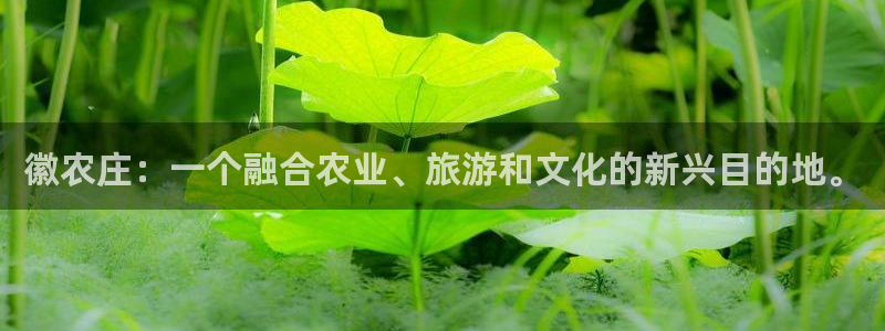 天辰娱乐官方登录入口