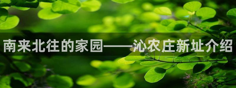 天辰天富娱乐登录