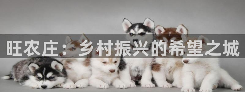 天辰娱乐APP下载