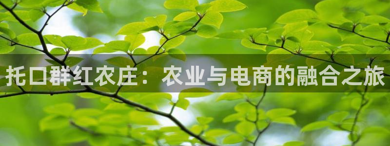 天辰娱乐官方登录入口