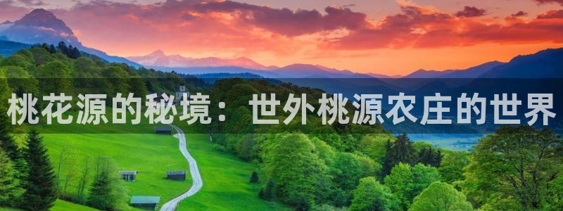 天辰娱乐平台地址在哪里